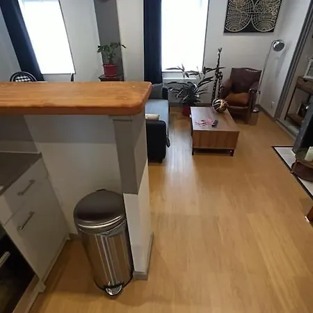 Gite Appartement Avec Terrasse 公寓